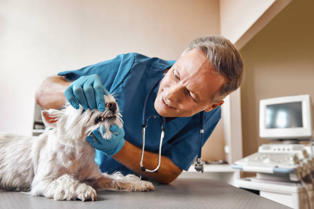 Best Emergency Tooth Extraction in Salem, VA